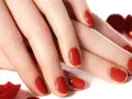 Dłonie z idealnym, czerwonym manicure tytanowym, otoczone płatkami róż.